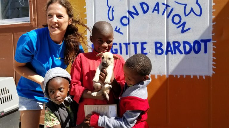 fondation brigitte bardot aide internationale afrique du sud samast sa.mast chiens chats errants