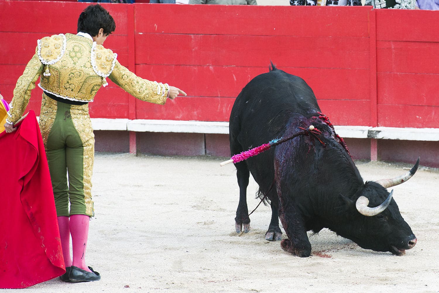 Interdiction de la corrida aux mineurs - fondation Brigitte Bardot